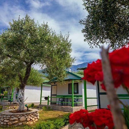 Chalet Ambel Dhërmi Dış mekan fotoğraf