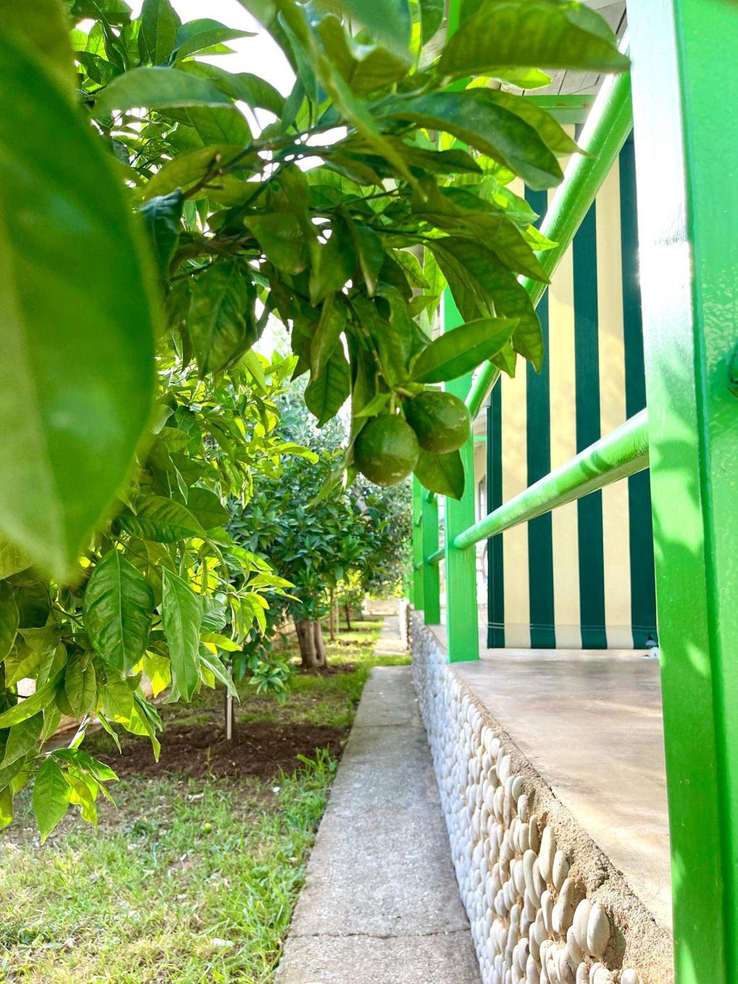 Chalet Ambel Dhërmi Dış mekan fotoğraf