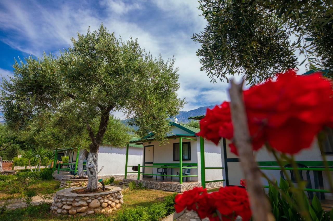 Chalet Ambel Dhërmi Dış mekan fotoğraf